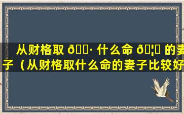 从财格取 🌷 什么命 🦉 的妻子（从财格取什么命的妻子比较好）